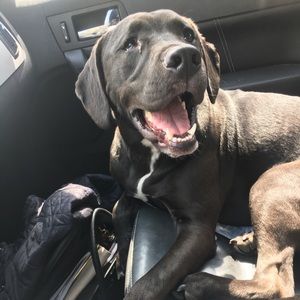 Meet your Posher, Madison